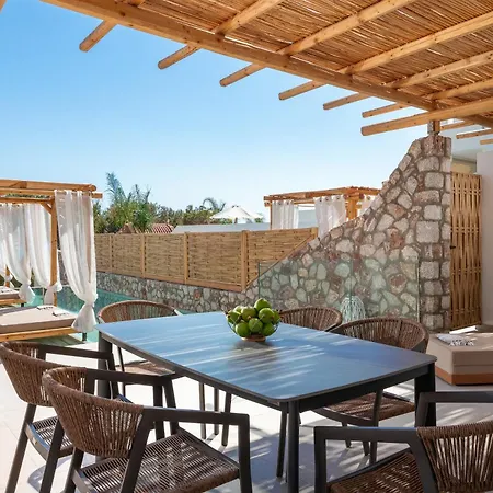 Kivotos Black Horse * Pefki