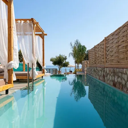 Kivotos Black Horse * Pefki