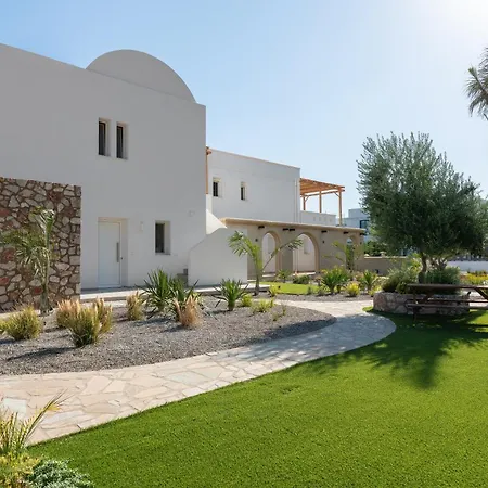 Kivotos Black Horse * Pefki