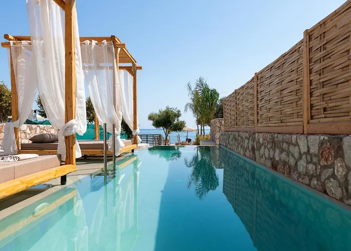 Kivotos Black Horse * Pefki